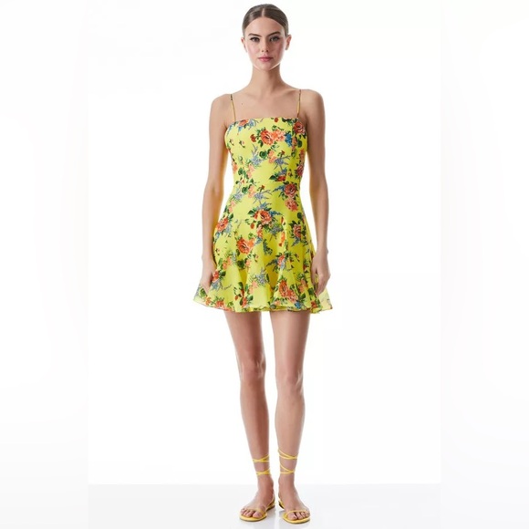 Alice and Olivia NWT Dress - Picture 6 of 16